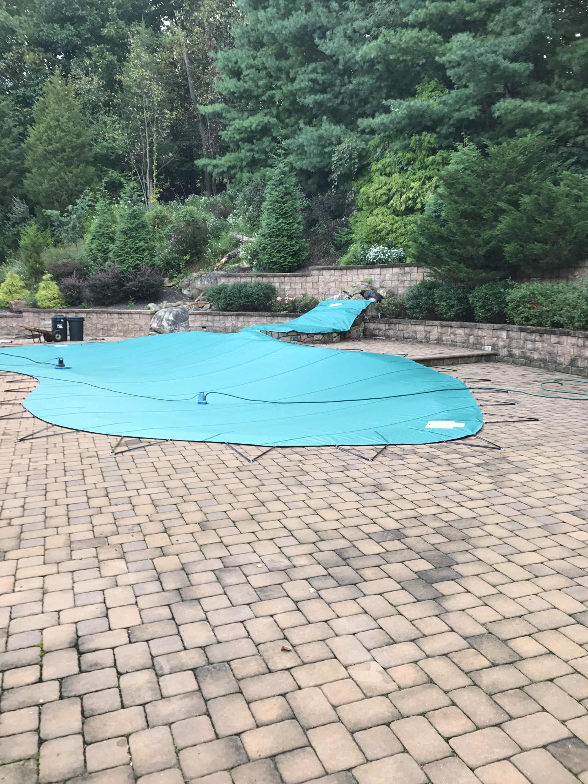 services Paragon Pool Service, Inc.